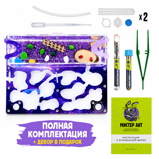 Муравьиная ферма КОМПЛЕКТ медиум, Галактика