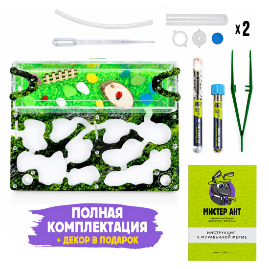 Муравьиная ферма КОМПЛЕКТ медиум, Лесной мох