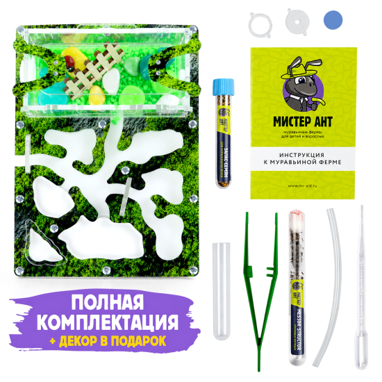 Муравьиная ферма КОМПЛЕКТ мини - Лесной мох