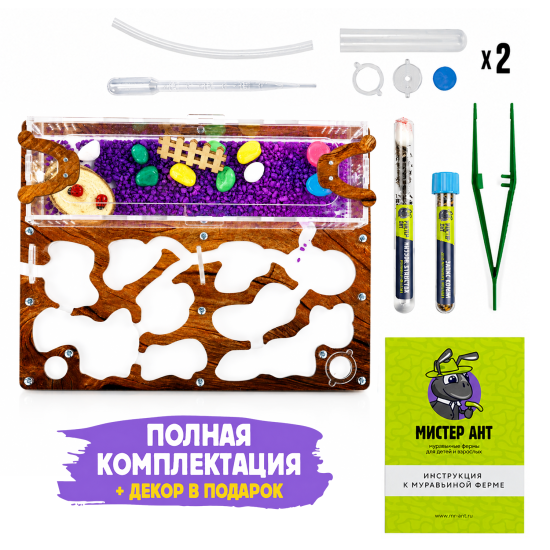 Муравьиная ферма КОМПЛЕКТ медиум, Светлое Дерево