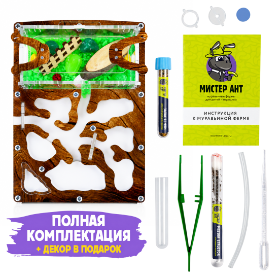 Муравьиная ферма КОМПЛЕКТ мини - Светлое Дерево
