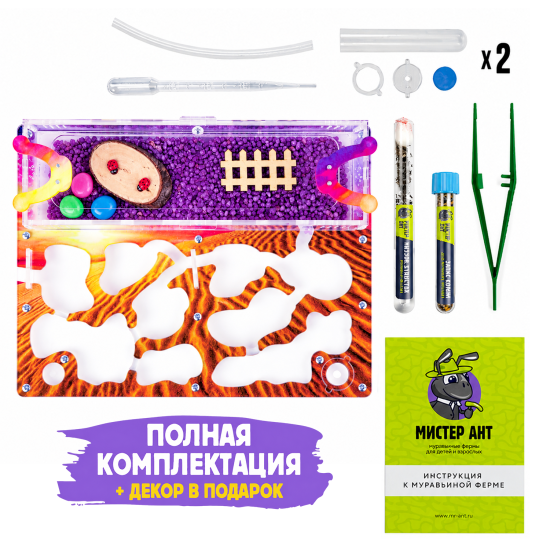 Муравьиная ферма КОМПЛЕКТ медиум, Вечерняя пустыня