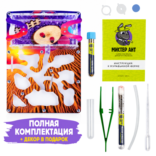 Муравьиная ферма КОМПЛЕКТ мини- Вечерняя пустыня